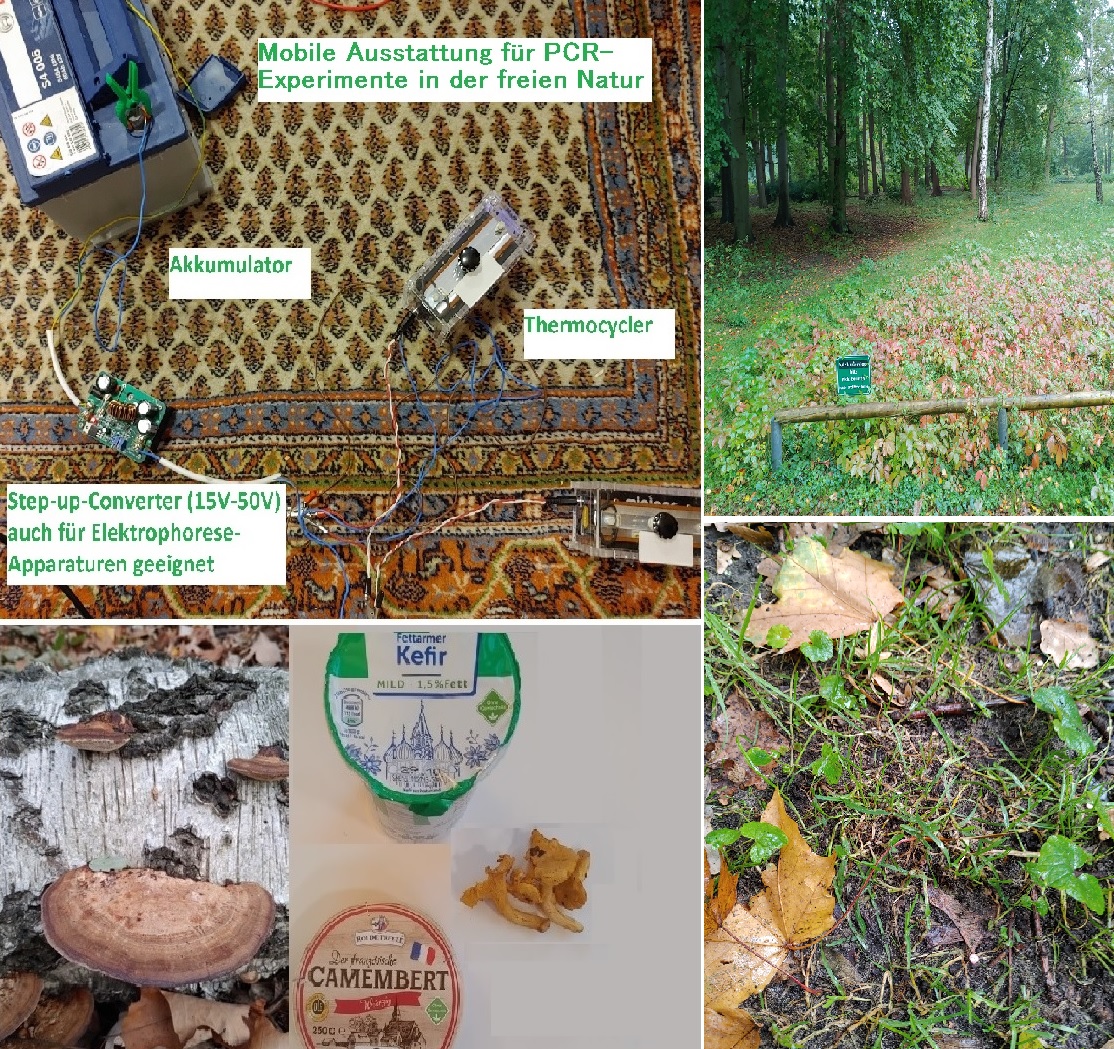  Mit dem mobilen Feldlabor können auch PCRs und 
					Elektrophorese-Experimente bei gutem Wetter draußen durchgeführt werden.