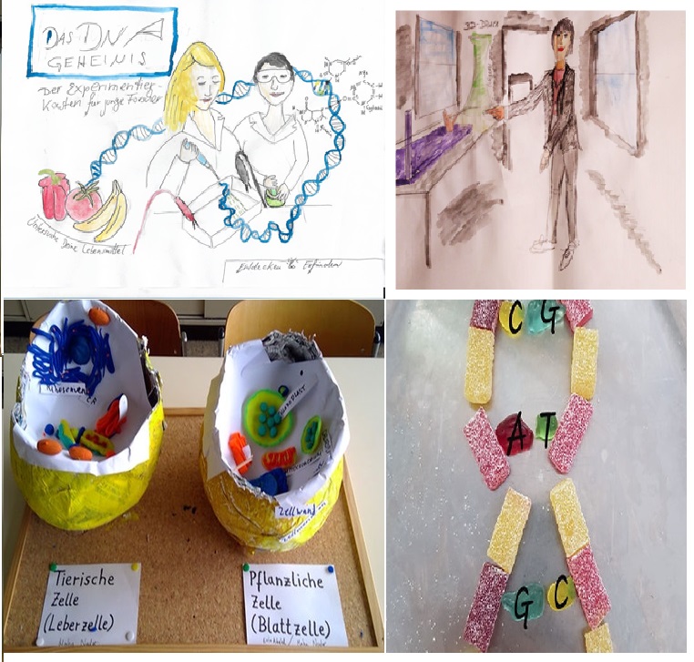 Aus Pappmaché von Schülern aus der BQL-Klasse angefertigte Zellmodelle, jedoch hat sich ein Fehler eingeschlichen: es fehlt die Zellwand. 