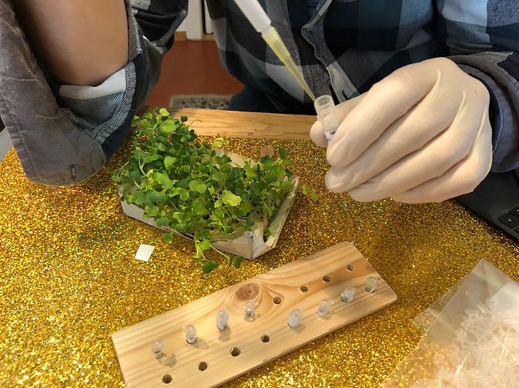 Jugendliche beim Experimentieren!