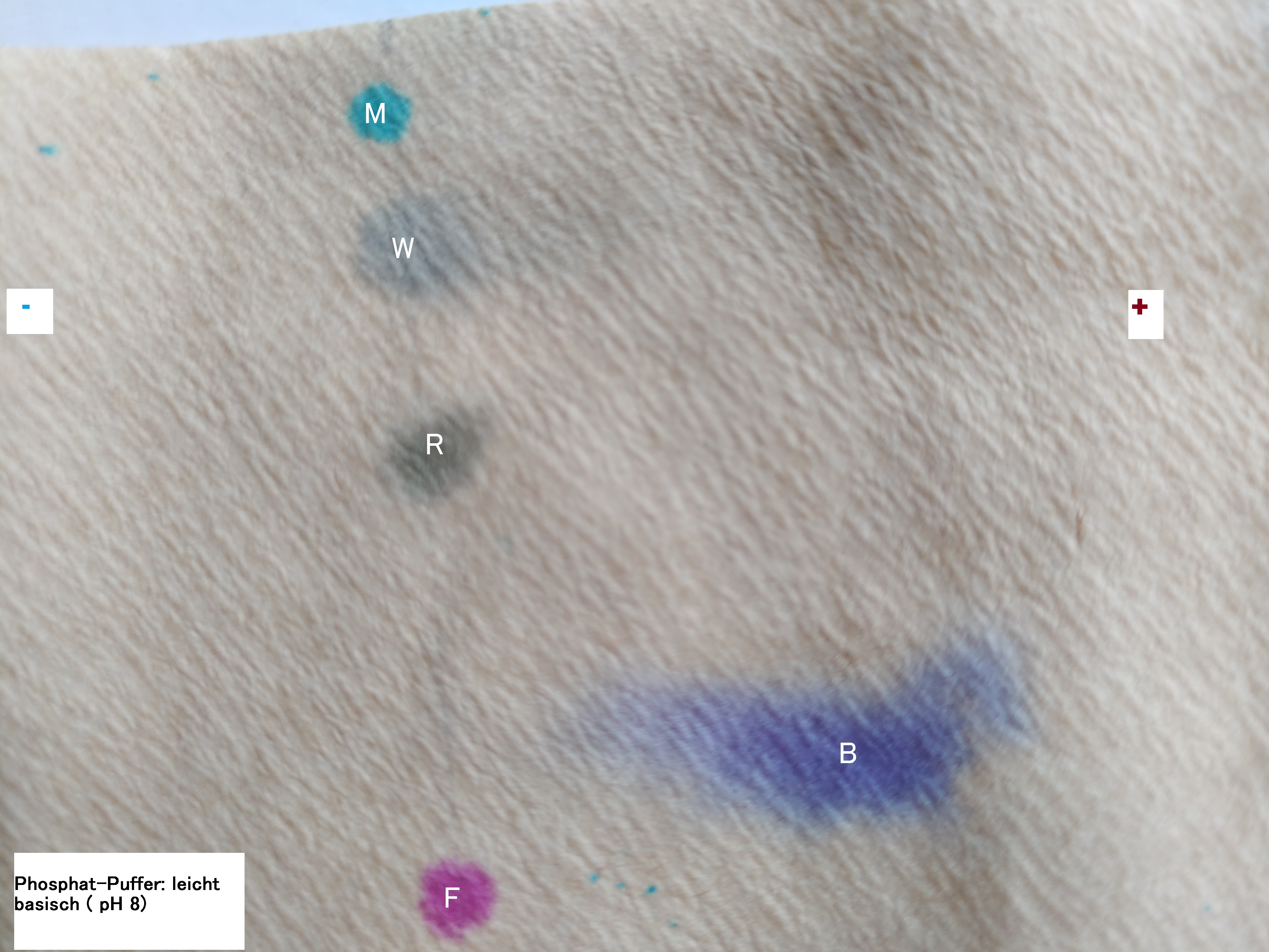 M: Methylenblau; W: Weintraubenextrakt ( Anthocyanfarbstoff); R: Rosenextrakt; B: Bromcresolpurpur; F: Fuchsin