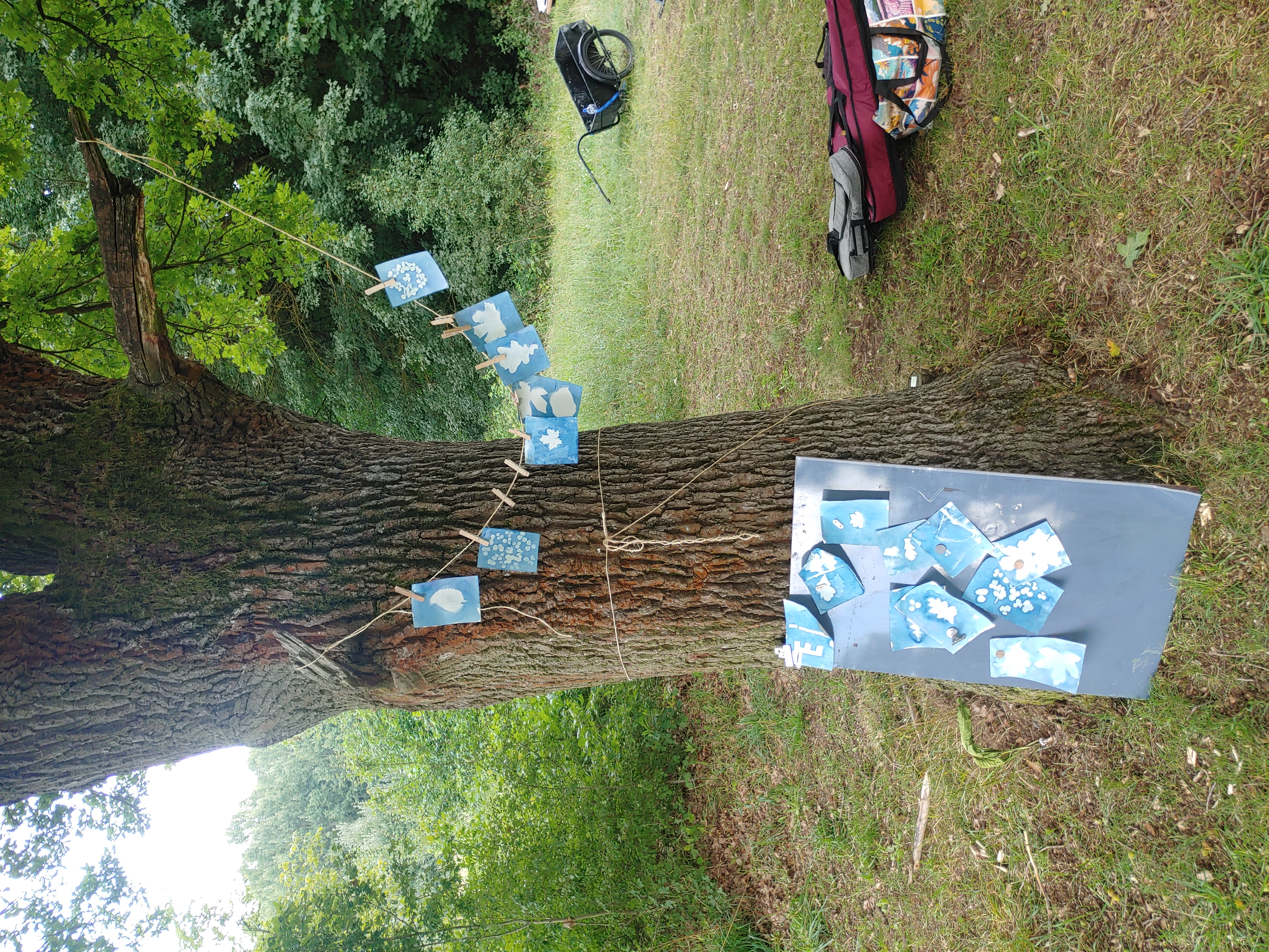Gemeinsam!