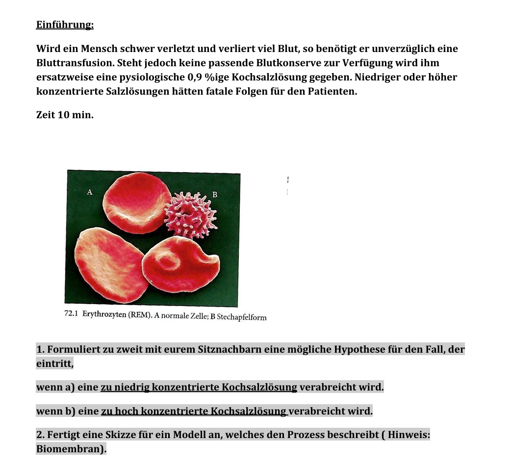 Unterrichtsentwurf: Osmose als Simulation von Schülern 