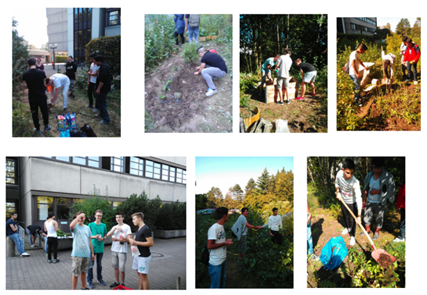 Konzeption eines Schulgartens zur Sprachförderung in Willkommensklassen