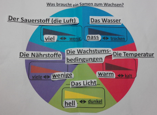 Concept Map, um Wachstumsfaktoren und deren gegenteilige Adjektive beizubringen.