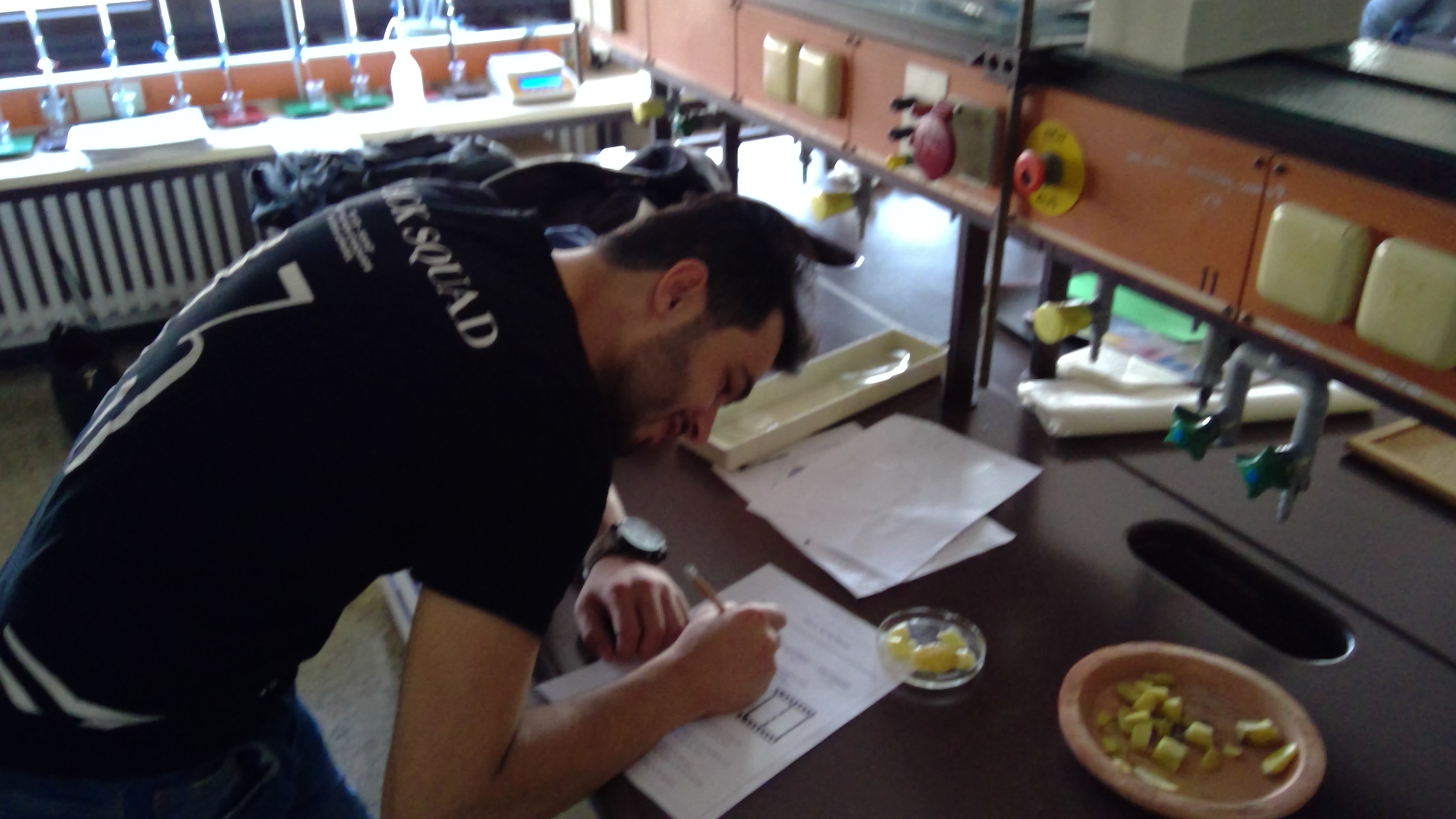 Roadmap zur Umsetzung von einer Schüleridee zu einem Projekt