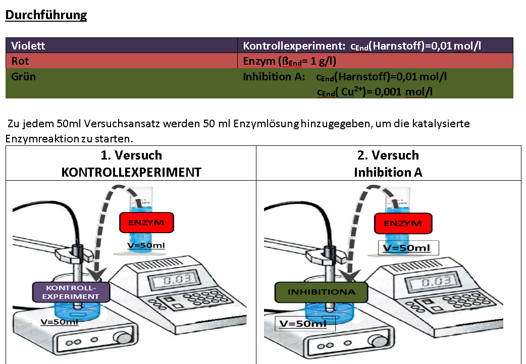 Urease und deren Hemmung Teil 2.: Die irreversible Hemmung und Messung der Enzymkinetik mittels Konduktometrie
