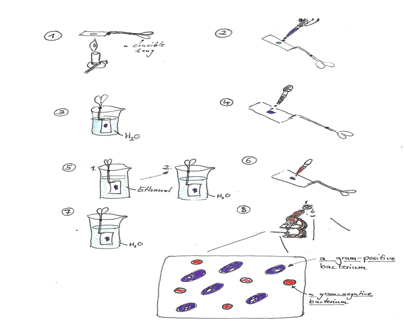 Scientific English Exams for Chemical and Biological technical Assistants