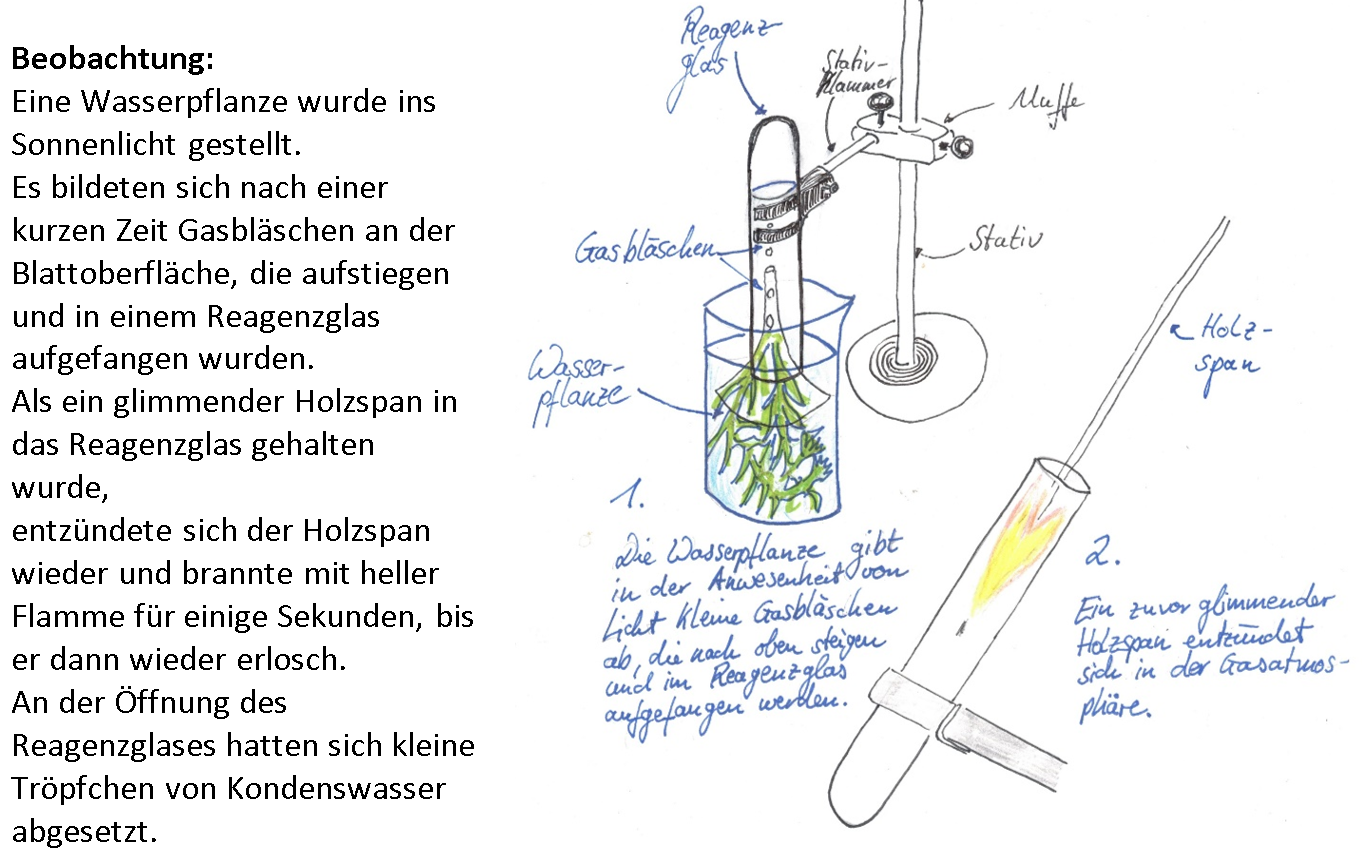 Glimmspanprobe: Kurztests und LEKs mit dem Schwerpunkt zum Üben von Hypothesenbildung in der 8. Klasse