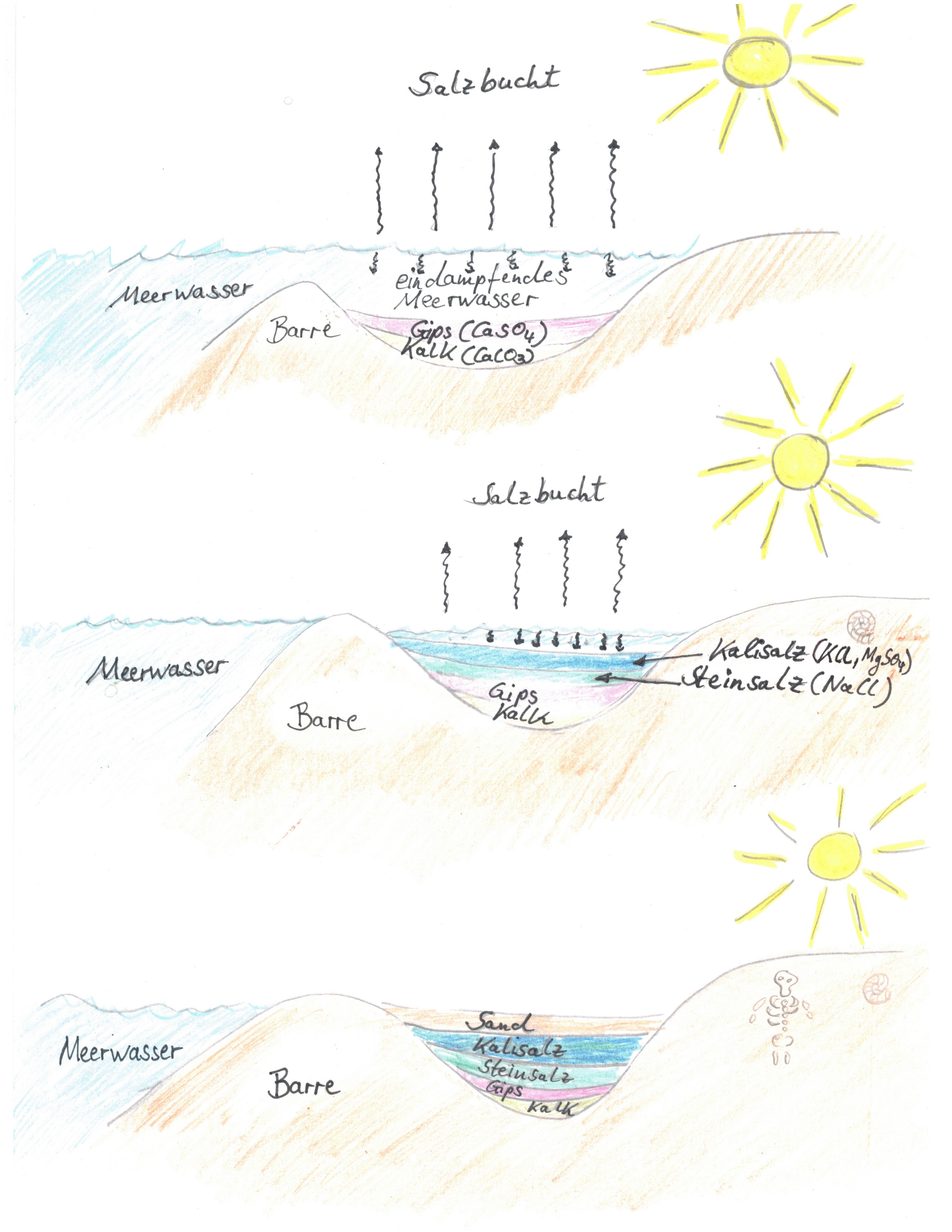 Kochsalz: Wie entstand das Kochsalz in der Natur?