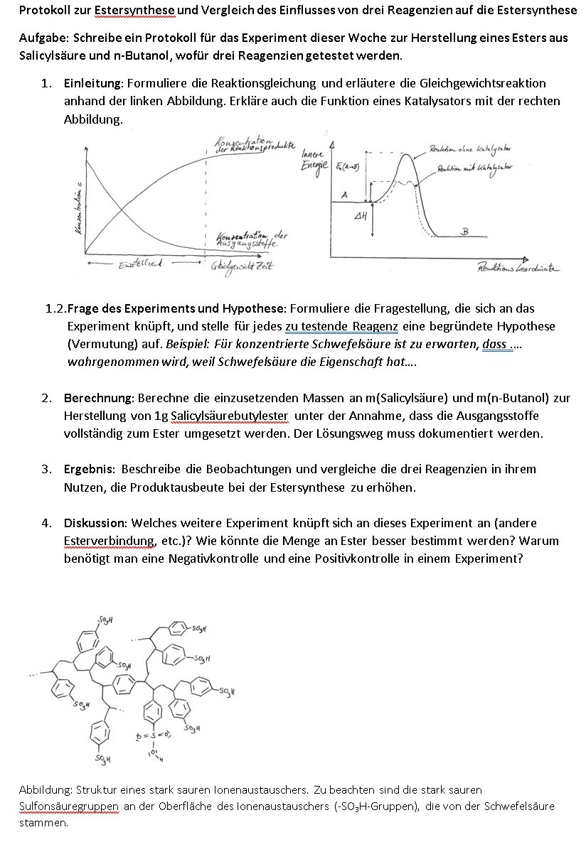 Forschungsauftrag: Praktischer Versuch zur Optimierung der Fischer-Estersynthese durch Vergleich von unterschiedlichen Säurekatalysatoren